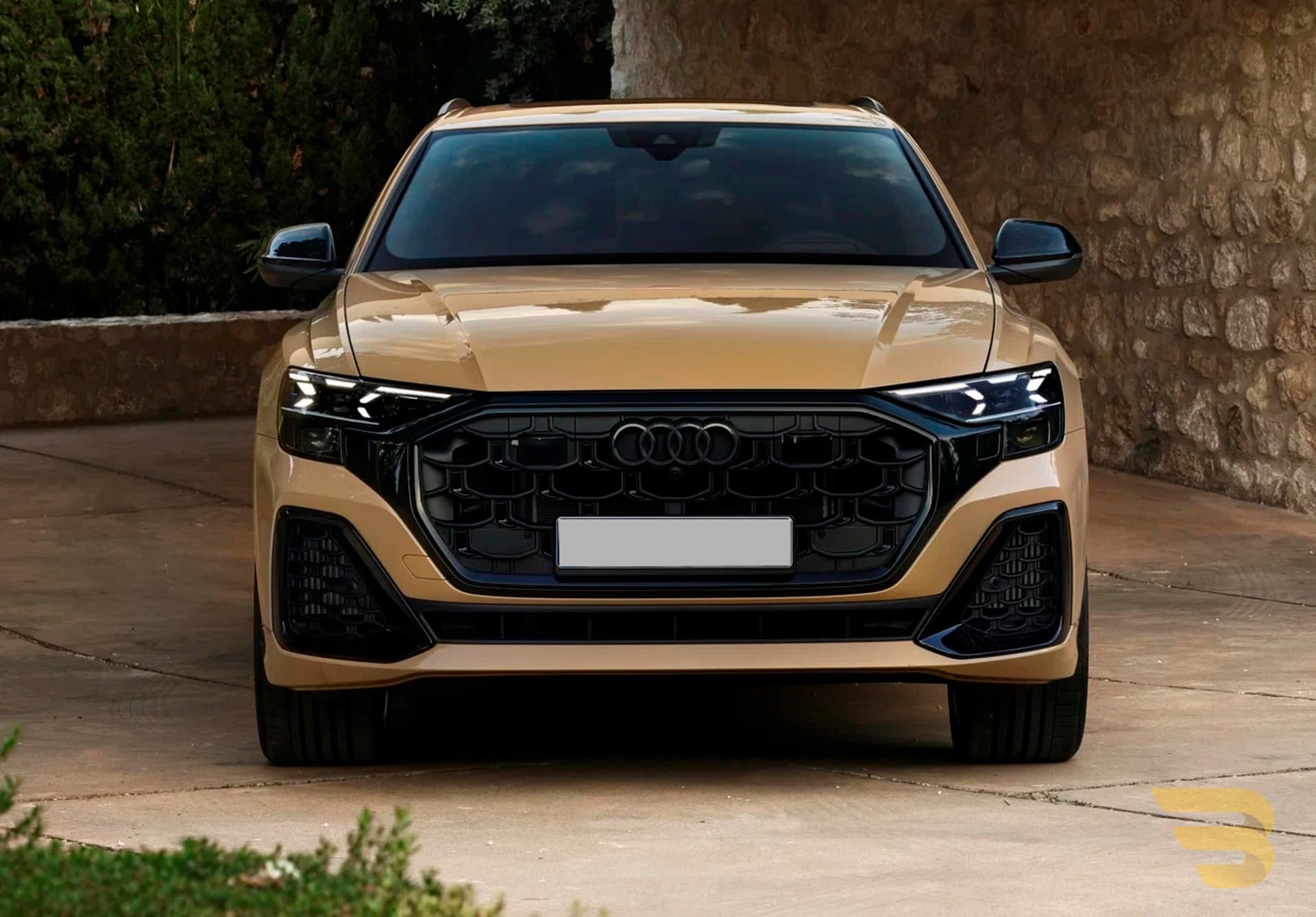 cattouchret (4).webp