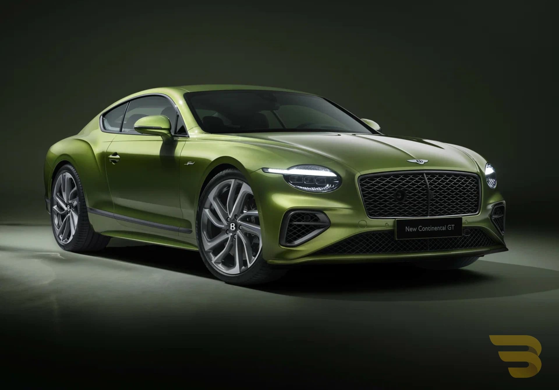 cattouchret (3) 12.56.37.jpg