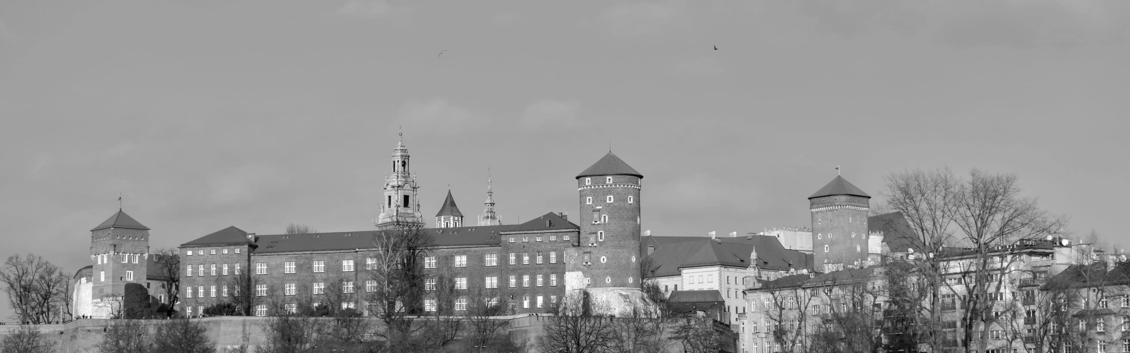 wynajem samochodów w Krakowie