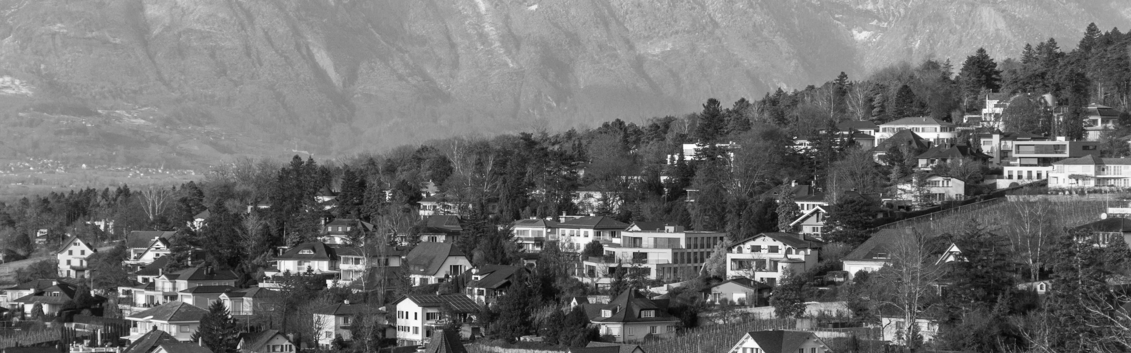 zurich to vaduz by car