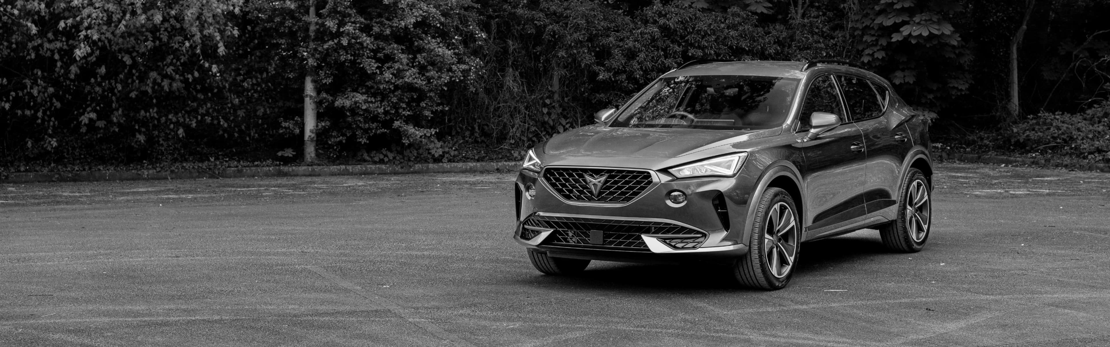 Wynajem Cupra