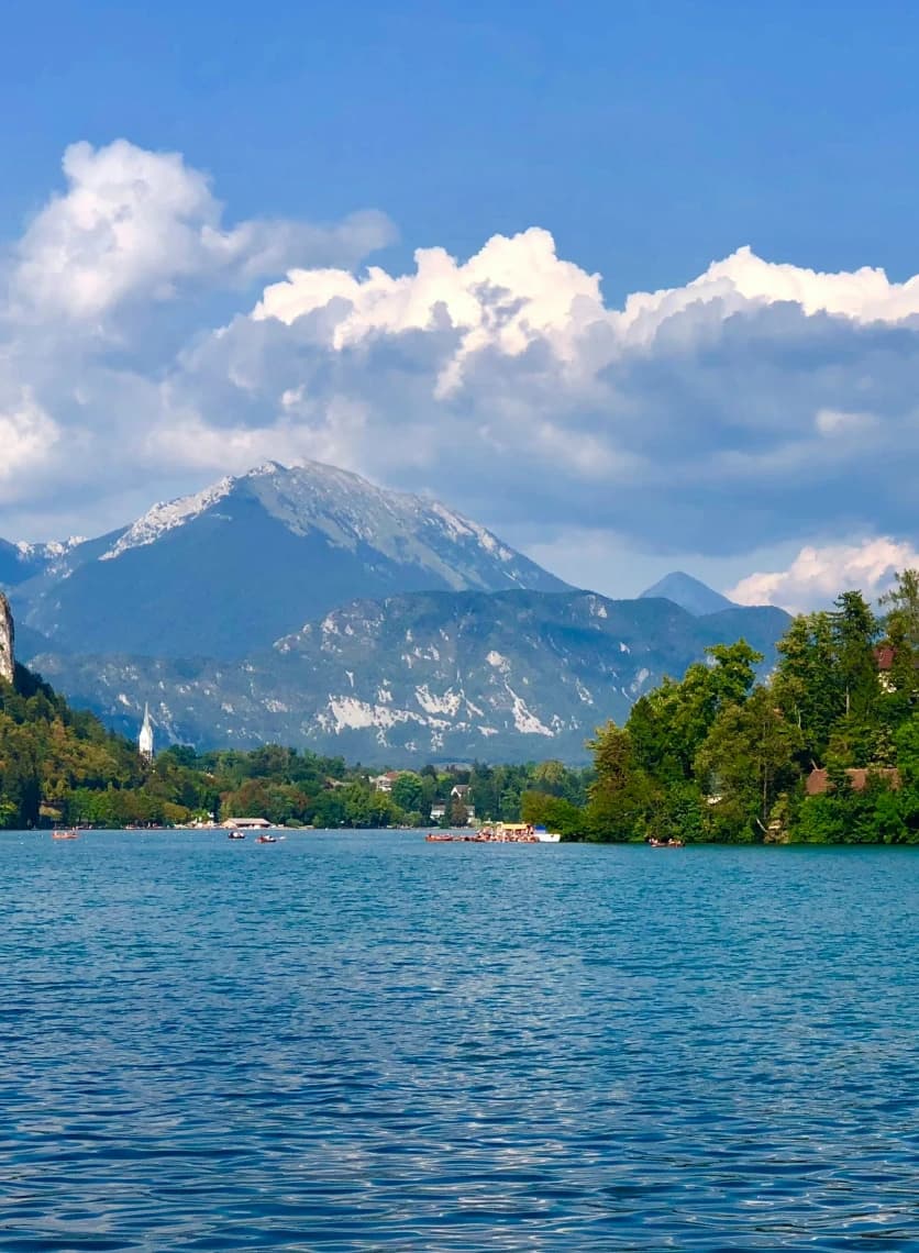 aluguel de carro bled